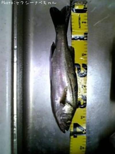 �����Х�