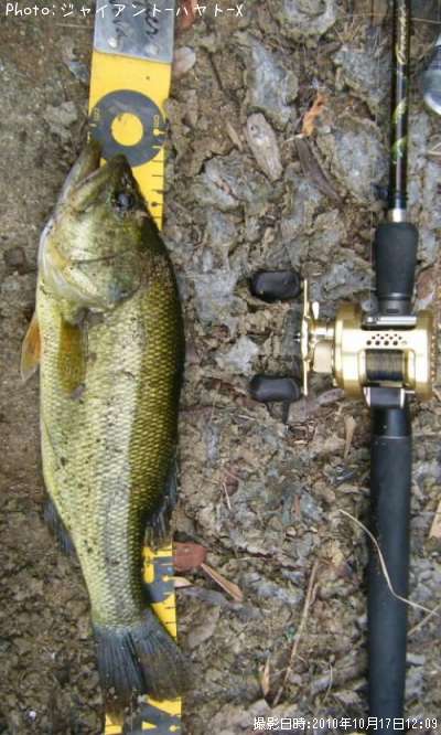 �֥�å��Х�