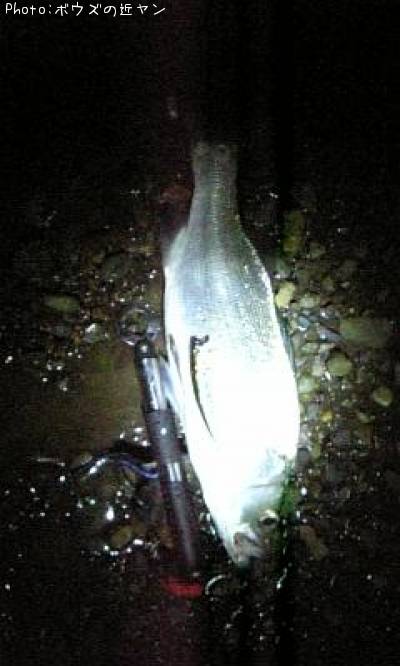 �ҥ饹����