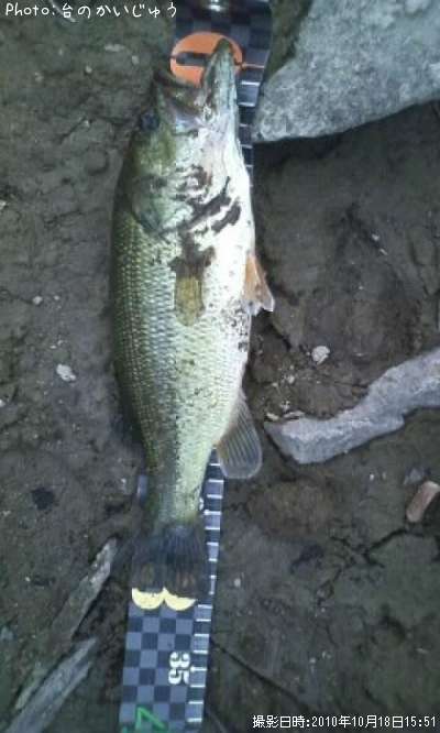 �֥�å��Х�