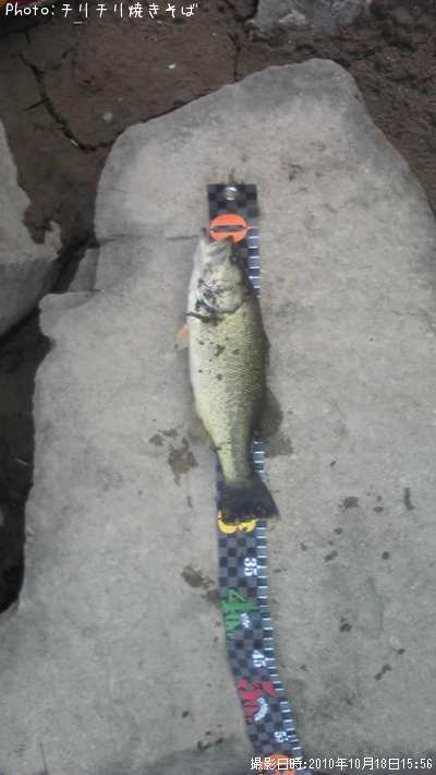 �֥�å��Х�