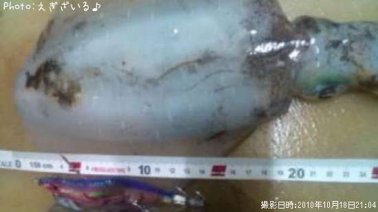 �����ꥤ��