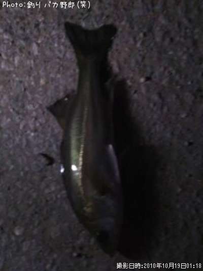 �����Х����