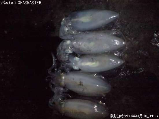 �����ꥤ��