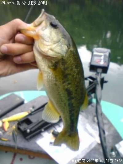 �֥�å��Х�