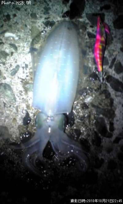 �����ꥤ��