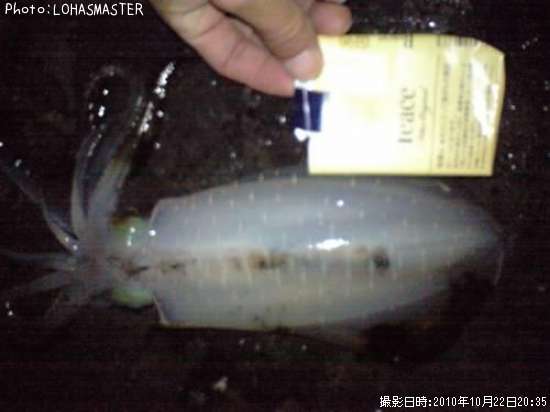 �����ꥤ��