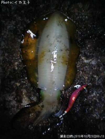 �����ꥤ��