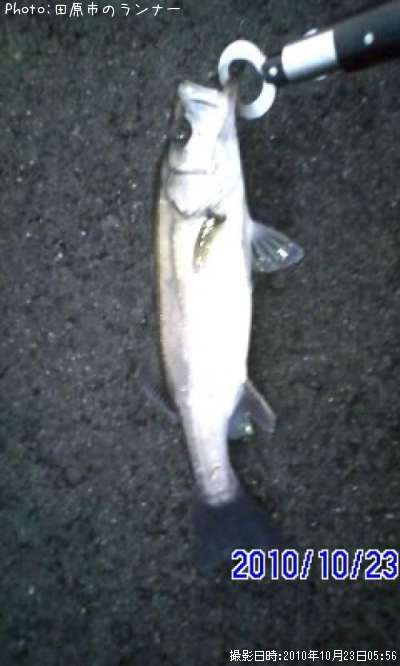 �����Х�