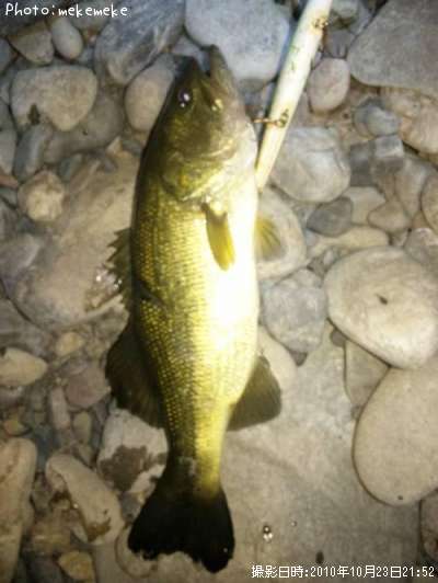 �֥�å��Х�