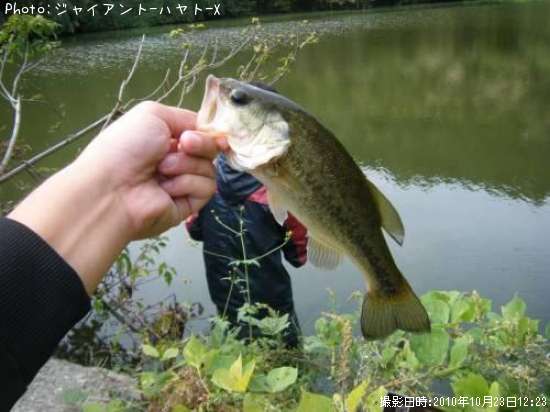 �֥�å��Х�