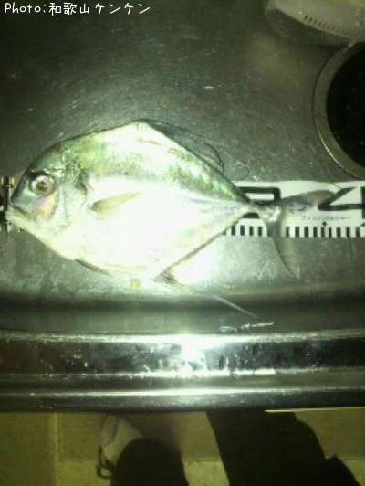 ���ȥҥ�����