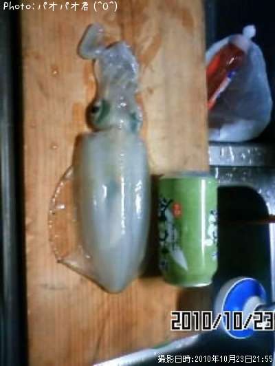 �ߥ�����