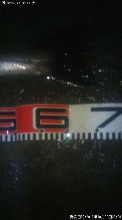 �����Х�