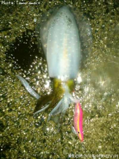 �����ꥤ��