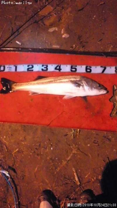 �����Х�