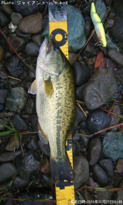 �֥�å��Х�