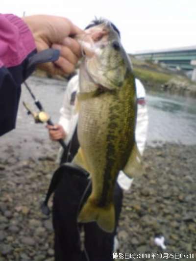 �֥�å��Х�