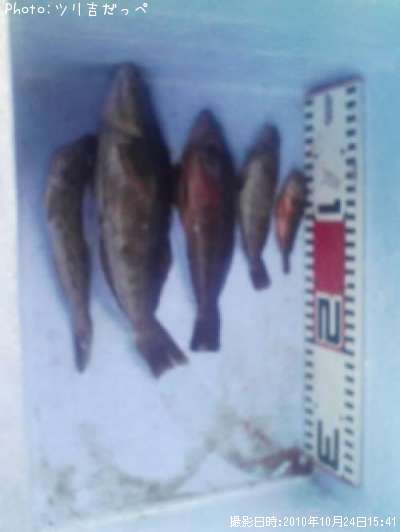 �����ʥᡦ�ϥ�