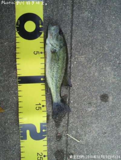 �֥�å��Х�