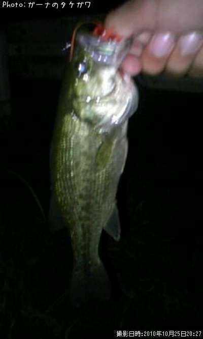 �֥�å��Х�