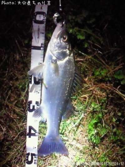 �����Х�