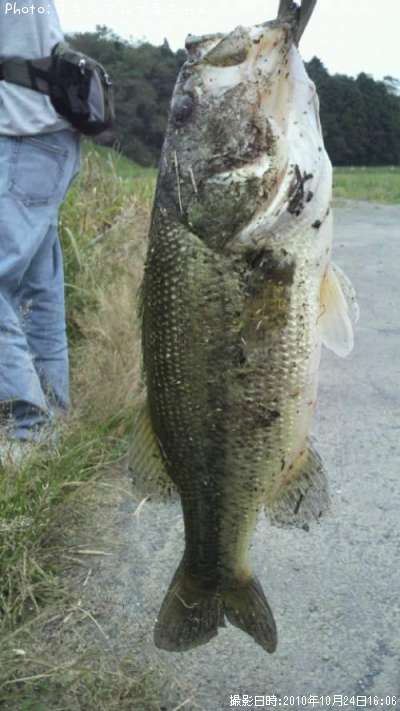 �֥�å��Х�