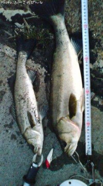 �����Х�