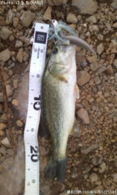 �֥�å��Х�