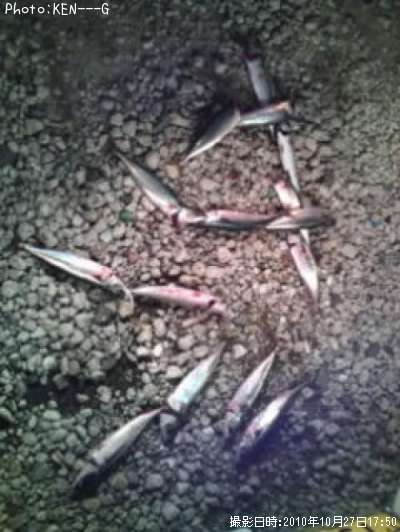 ���Х���󣳣�Ϣ