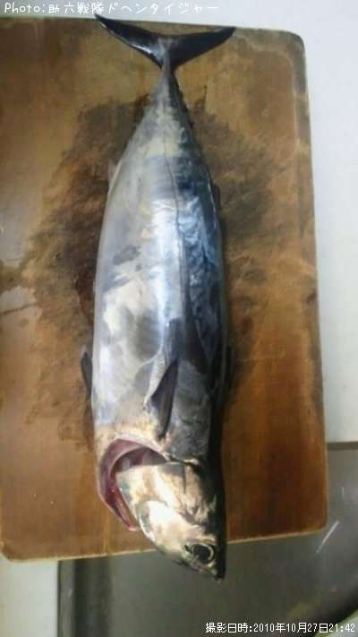 �ҥ饽����