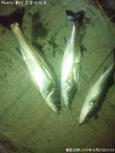 �����Х�