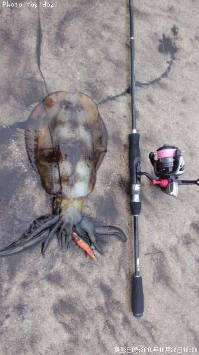 �����ꥤ��