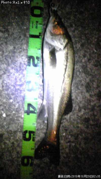 �����Х�