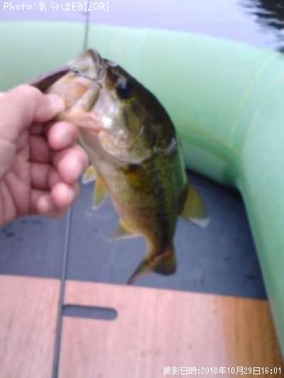 �֥�å��Х�