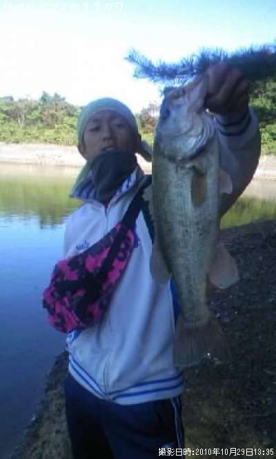 �֥�å��Х�