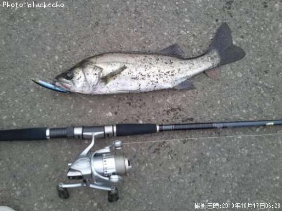 �����Х�