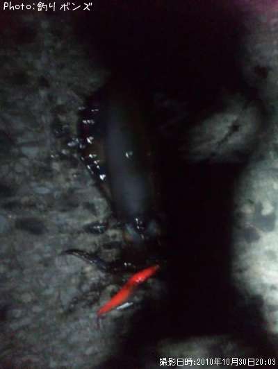 �����ꥤ��