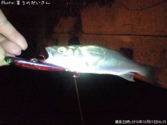 �����Х�