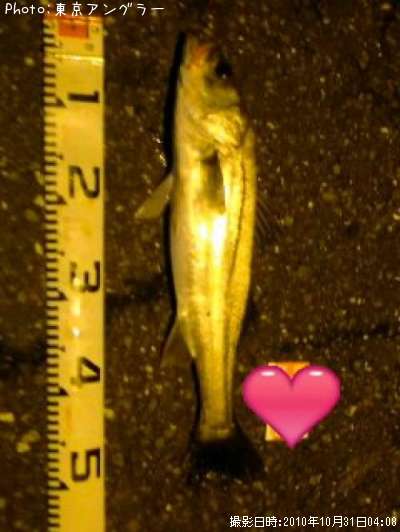 �����Х�