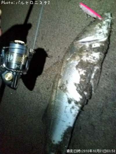 �����Х�