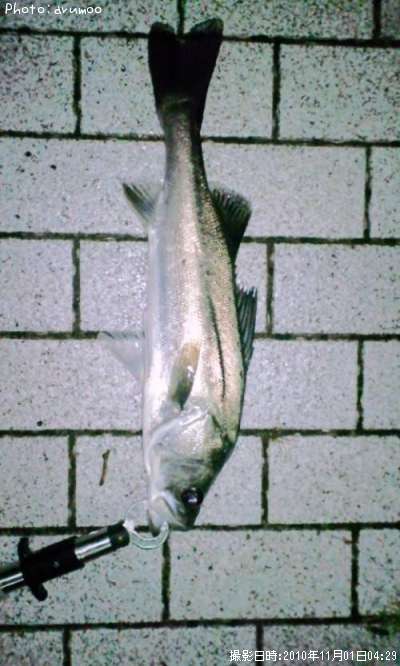 �����Х�