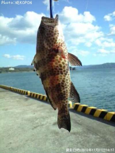 �������ϥ�