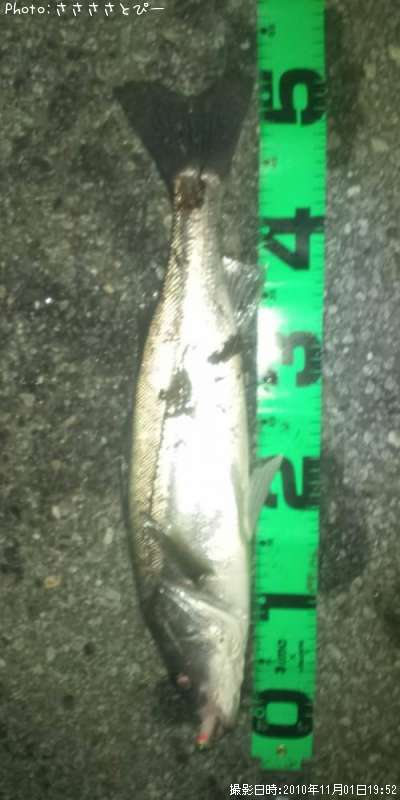 �����Х�