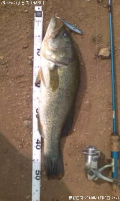 �֥�å��Х�