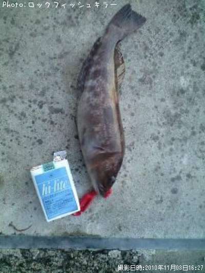 �����ʤ�