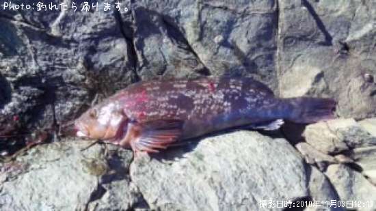 �����ʥ�