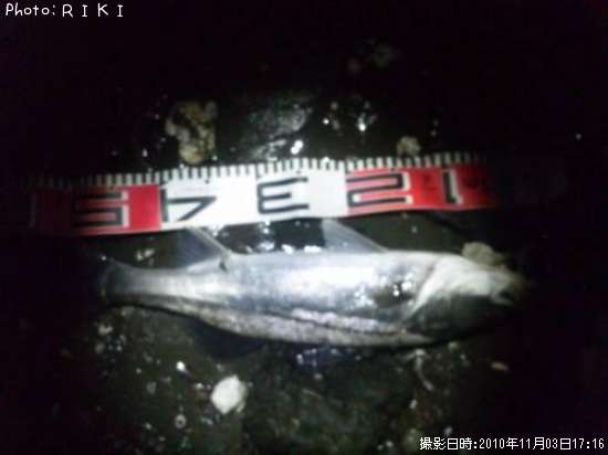 �����Х�