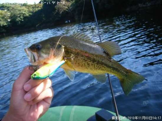 �֥�å��Х�