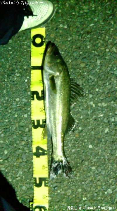 �����Х�